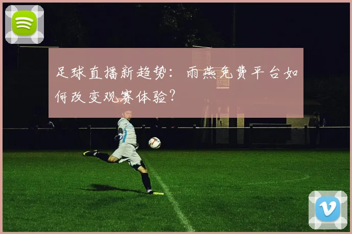 足球直播新趋势：雨燕免费平台如何改变观赛体验？